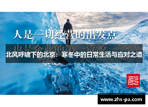 北风呼啸下的北京：寒冬中的日常生活与应对之道