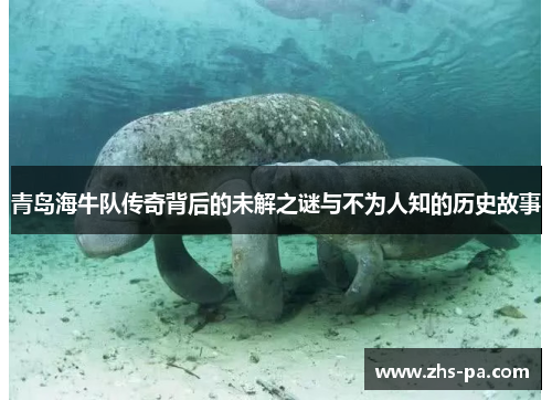 青岛海牛队传奇背后的未解之谜与不为人知的历史故事