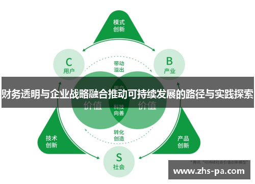 财务透明与企业战略融合推动可持续发展的路径与实践探索