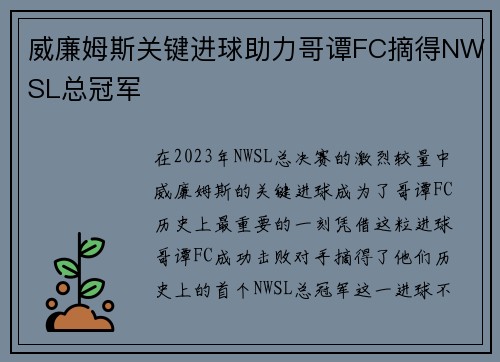 威廉姆斯关键进球助力哥谭FC摘得NWSL总冠军