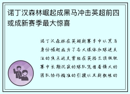 诺丁汉森林崛起成黑马冲击英超前四或成新赛季最大惊喜